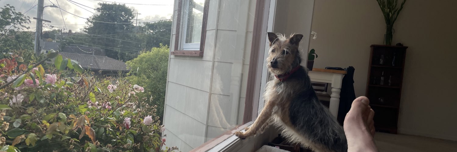 Carlos Barria banner