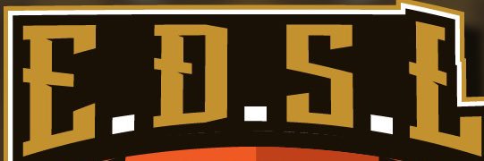 Elite Dynasty Sports League banner