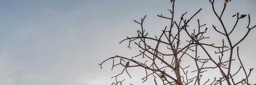 ninatrisuci's profile banner image
