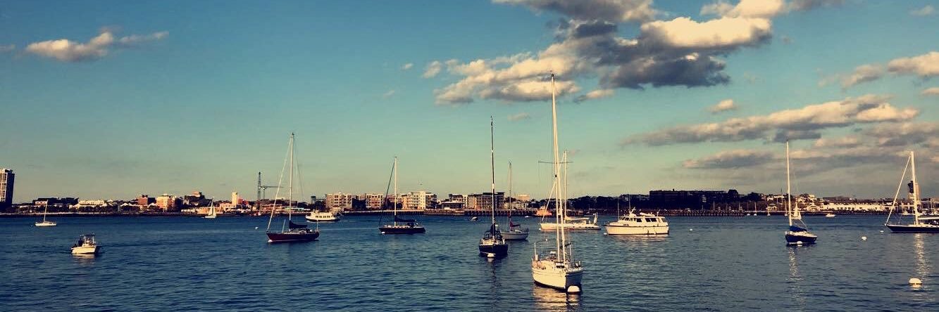 Vidhi Kankaria banner