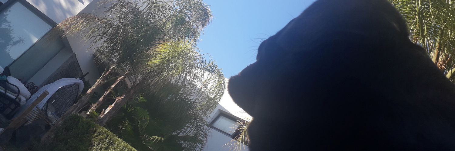 belth_bel's profile banner image