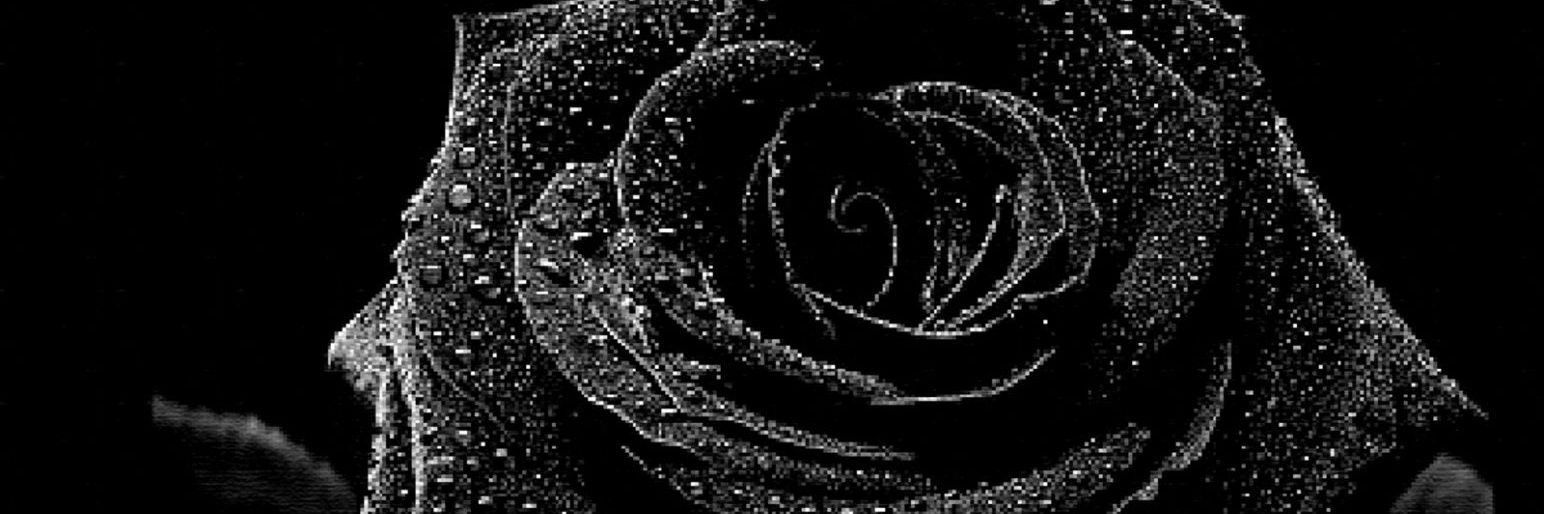 Angel01Sally's profile banner image