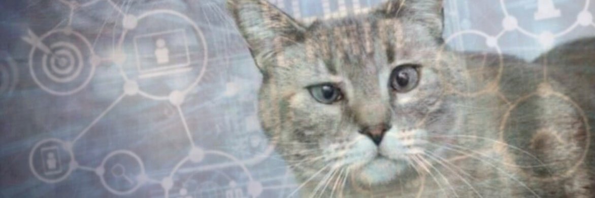 BenTheHumanMan1's profile banner image
