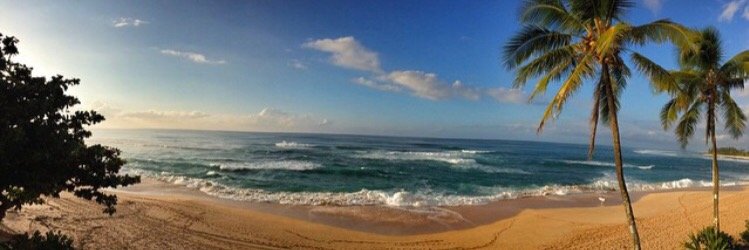 Alana527's profile banner image