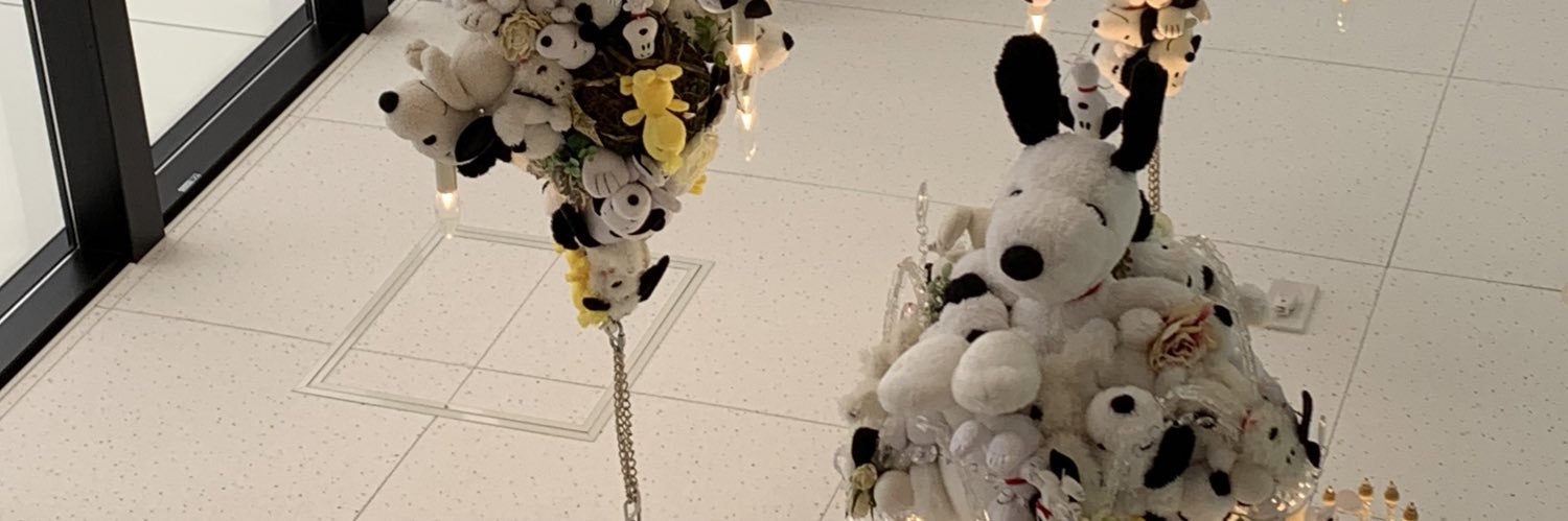 tomatomaya's profile banner image