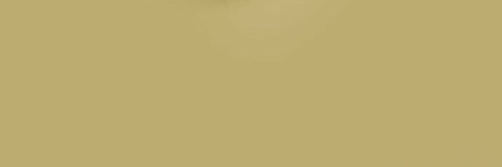 luizaiara's profile banner image