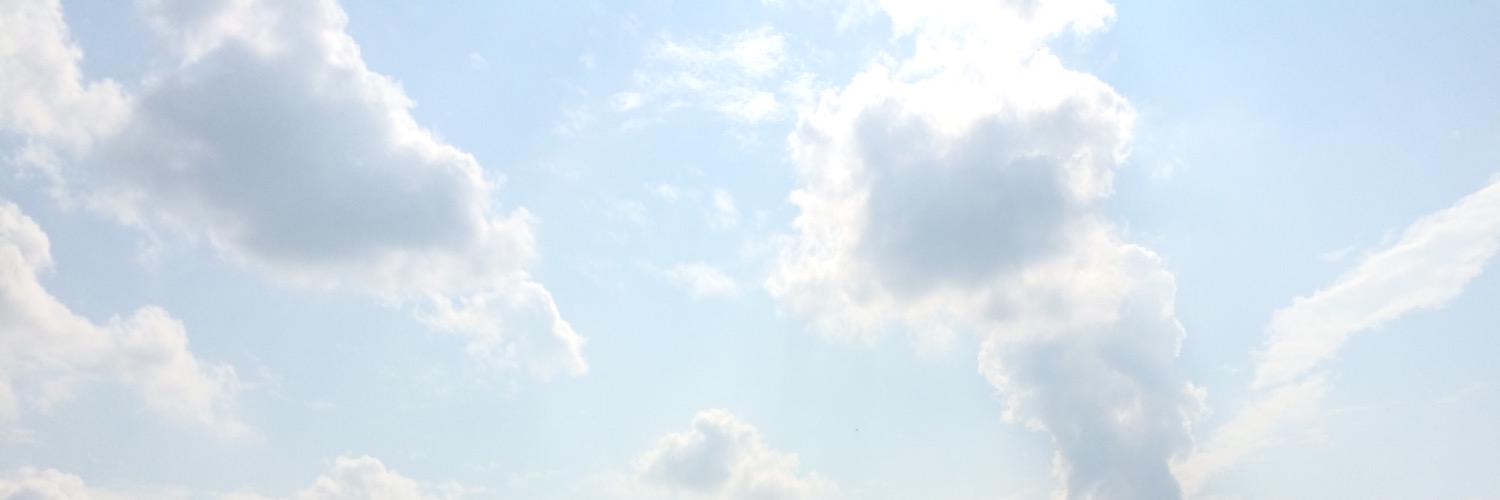 birbbibi's profile banner image