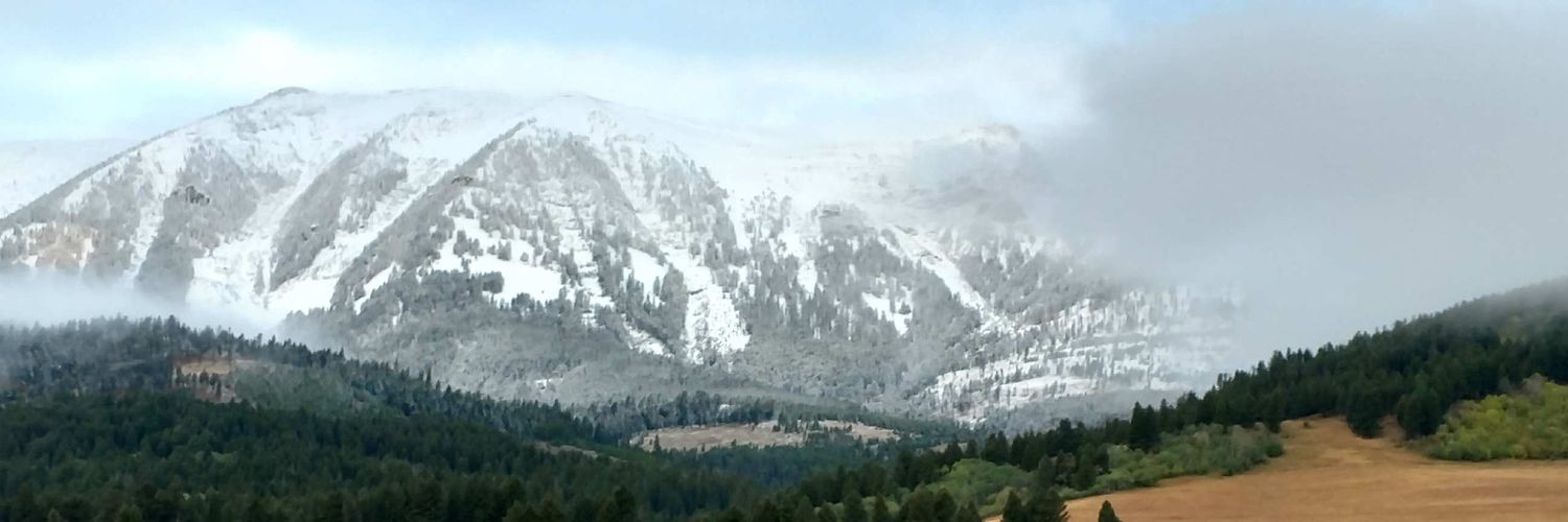 ftrack's profile banner image