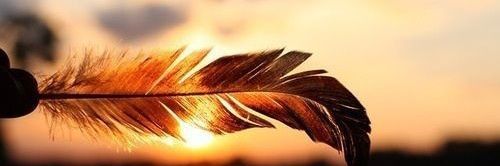 ꪑꫀꪶꪖ᥊𝕣ⅈꪀꪖ𝕜ⅈ💋's banner