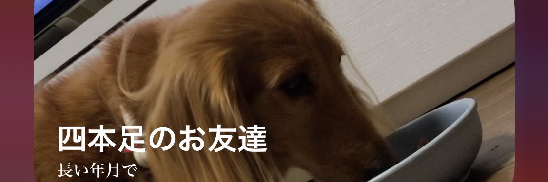 4x92's profile banner image