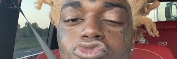 thewholeecatch Profile Banner