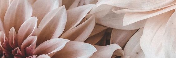 826O119's profile banner image