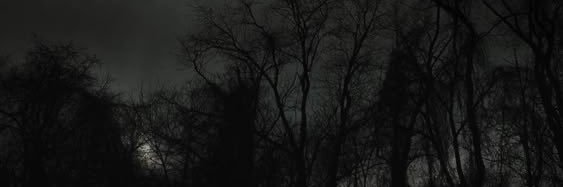 moxcals's profile banner image