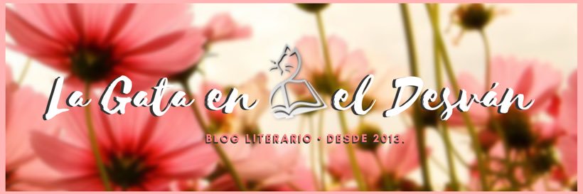 duniavt's profile banner image