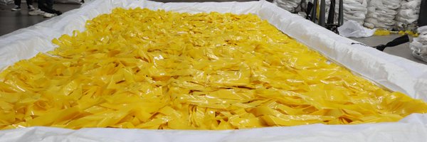 Michell21343271 Profile Banner