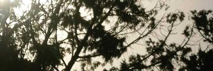 98Fatm's profile banner image