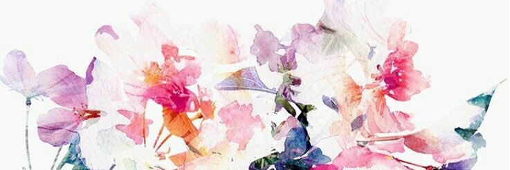Nookoiiz's profile banner image