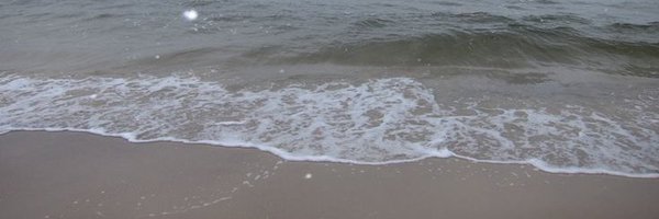 Asra_Moon Profile Banner