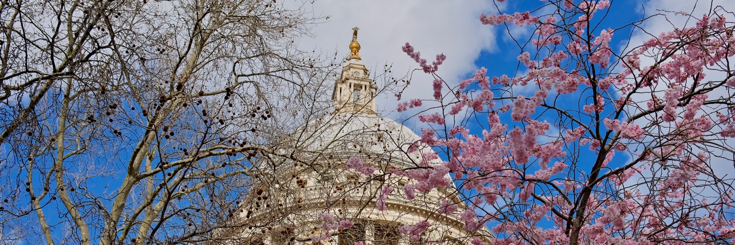 Danilo Poccia banner