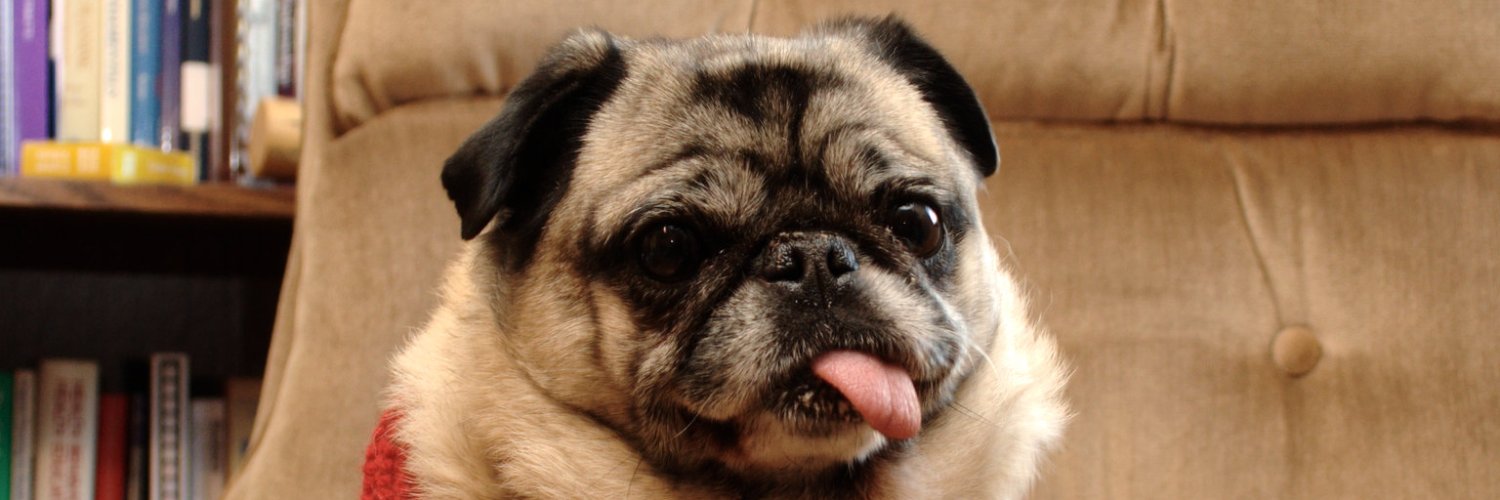 Find linuxlibrarian on counter dot social banner