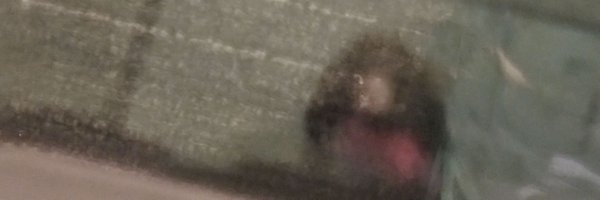 RNetzorg Profile Banner