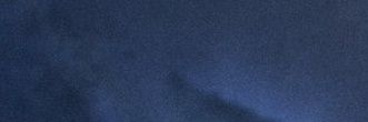 도영 banner