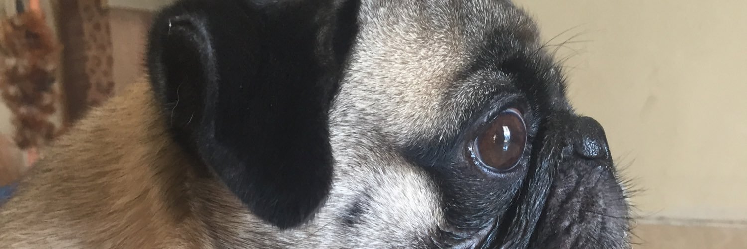 applee_ant's profile banner image