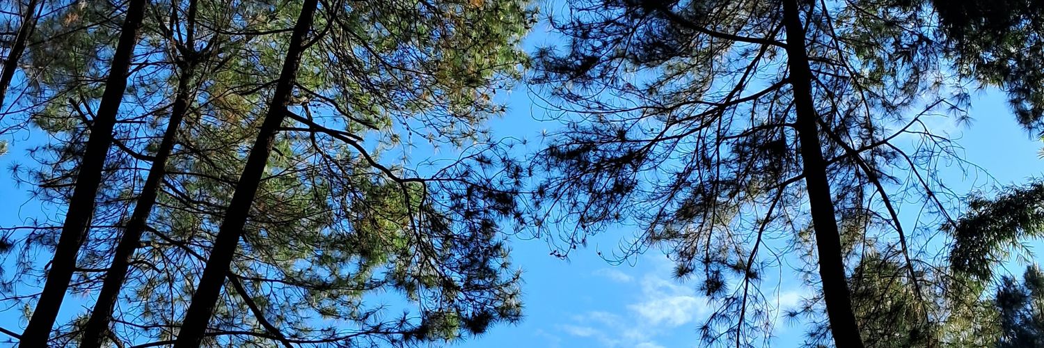 rij🪾ฅᨐฅ banner