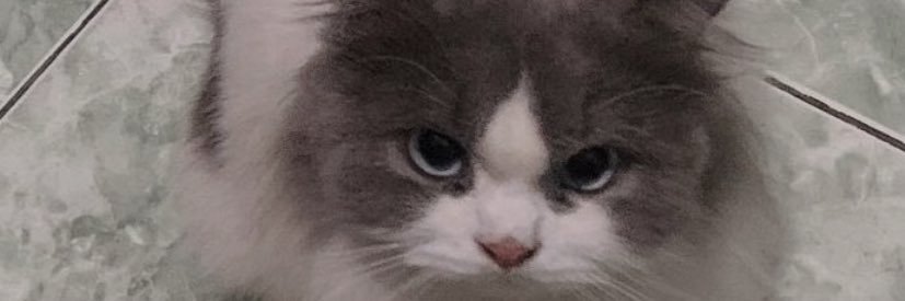 siAgungSusilo's profile banner image