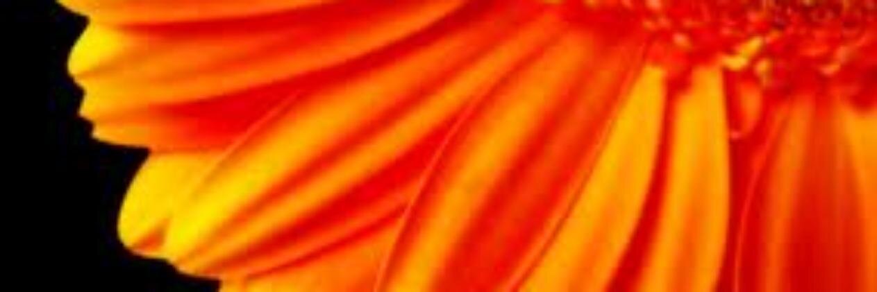 Sol Solete banner