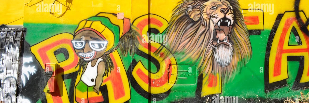 ReggaePunks banner