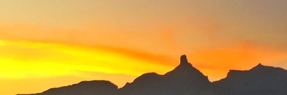 Siddhiraote's profile banner image
