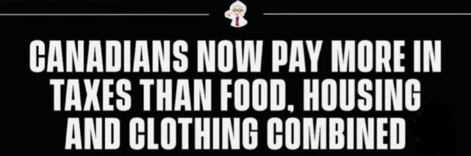 Tish Conlin banner