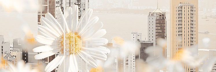 Gʀᴀᴄᴇ ✽ banner