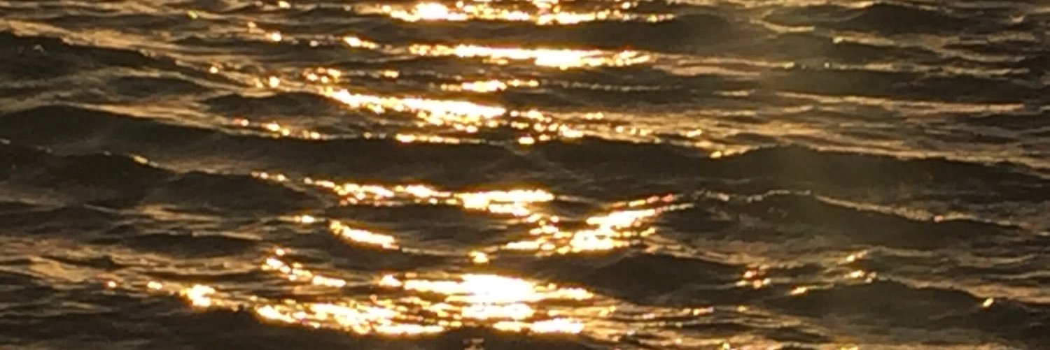 devaki's profile banner image