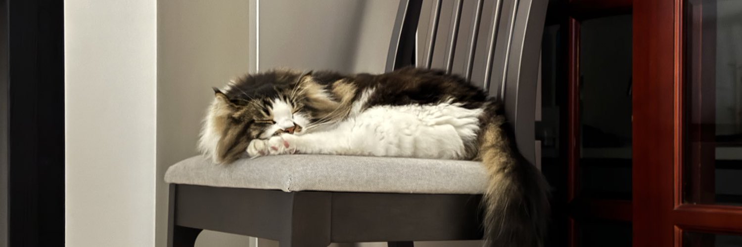 hunzigta's profile banner image