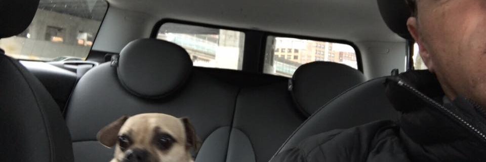 pmcnulty's profile banner image
