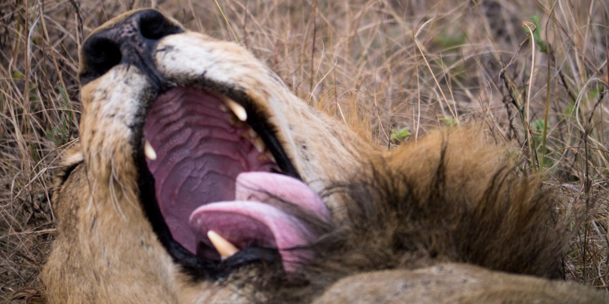 brucemr's profile banner image