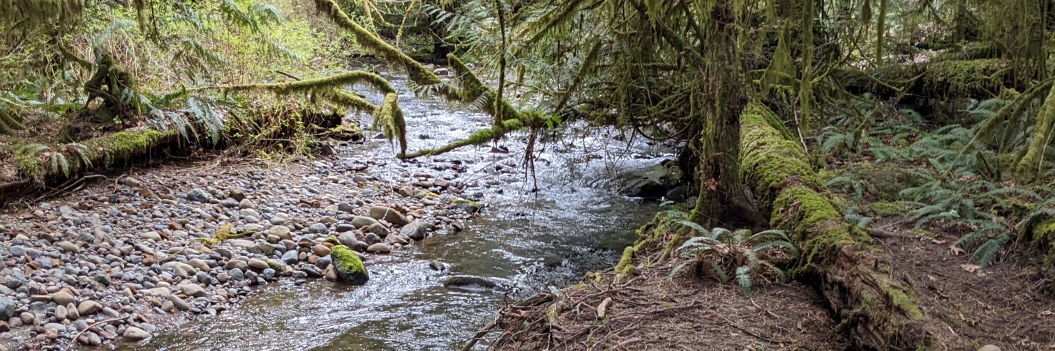 Laurent Mascherpa banner