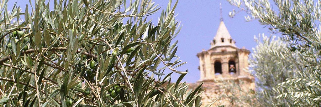 macrotour_spain's profile banner image