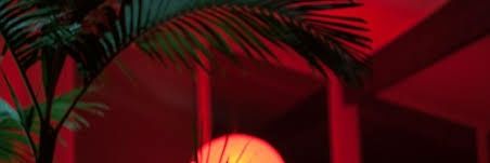 dev // shraddha stan banner
