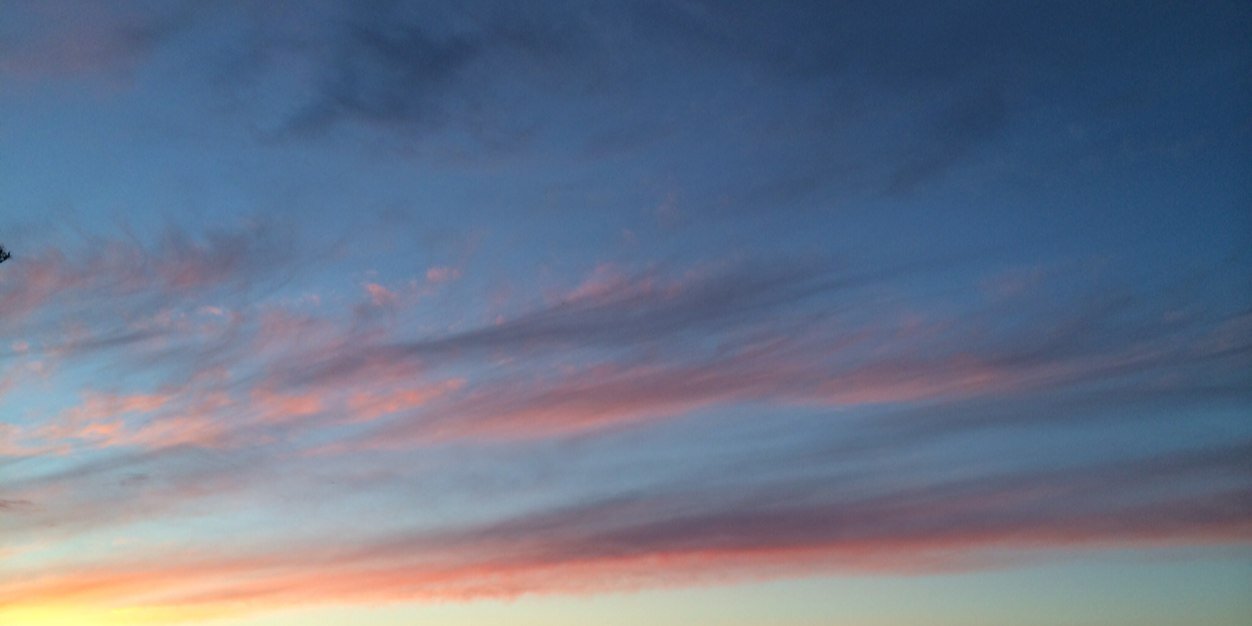 EllenSchlaefer's profile banner image