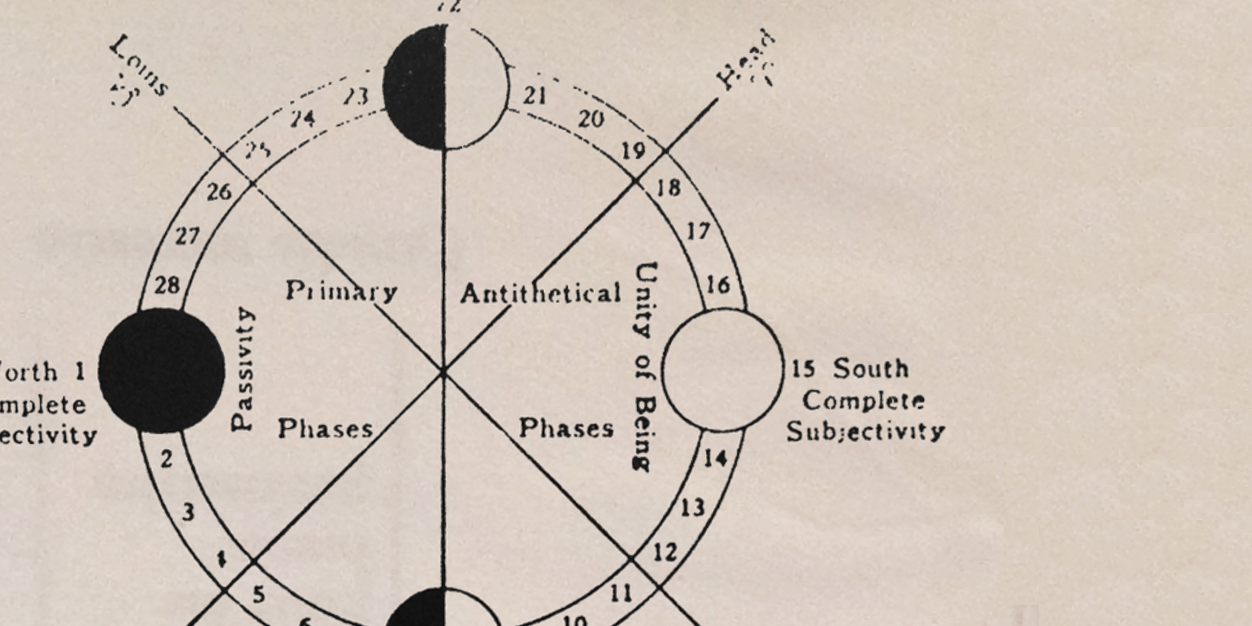 Johnny Borrell banner