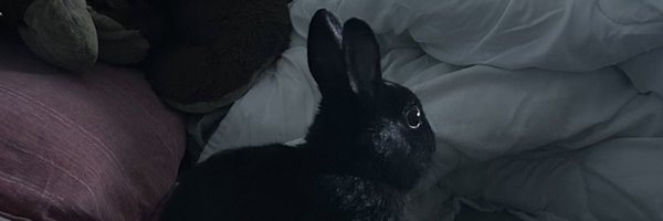 _m0rena9 Profile Banner