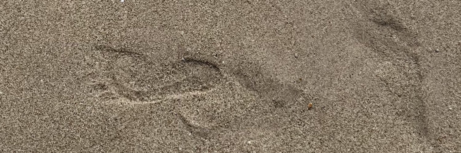 lorelaidealmore's profile banner image