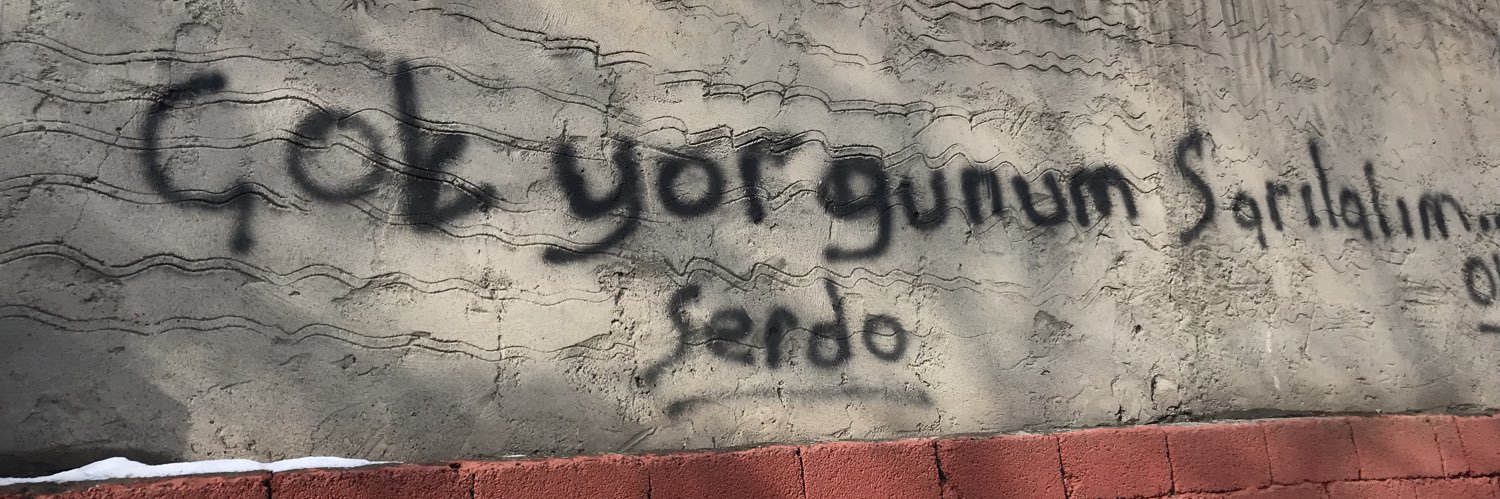 Serdar banner