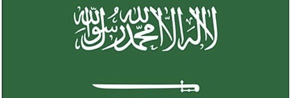 ༺₦Ї₦ℑ₳ banner