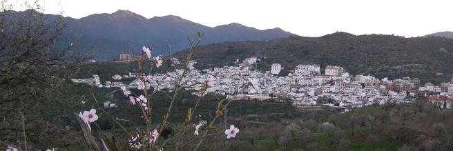 Ayuntamiento Guaro banner