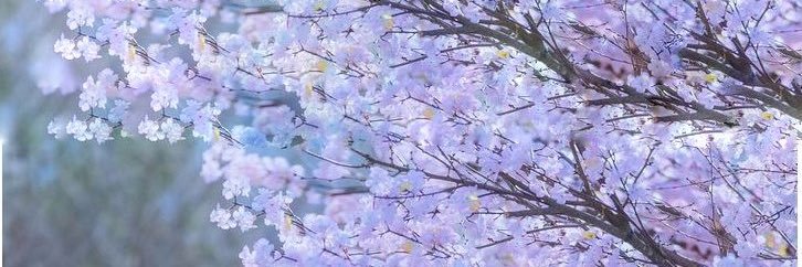 Floren banner