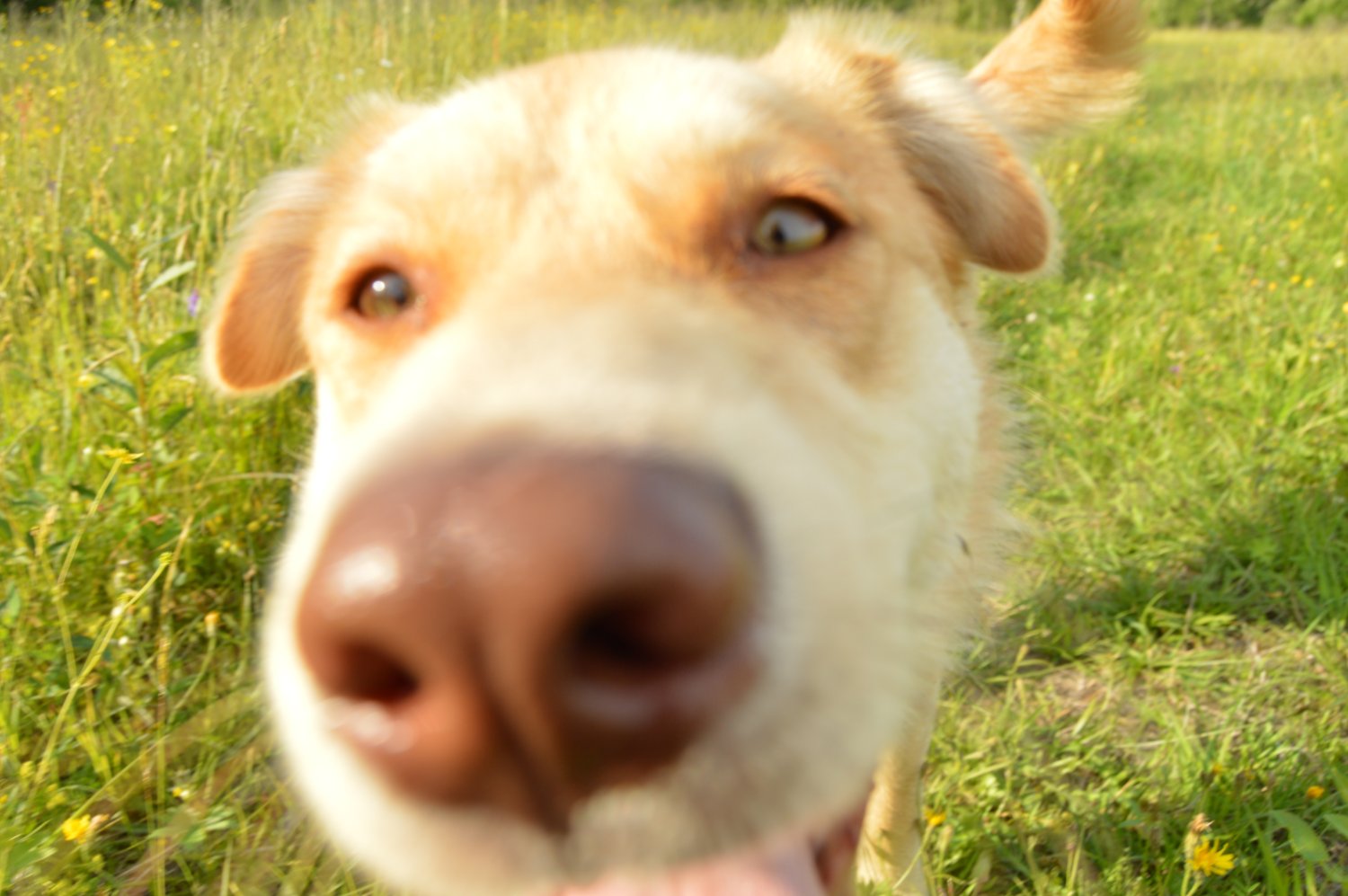 draft_nonsense's profile banner image